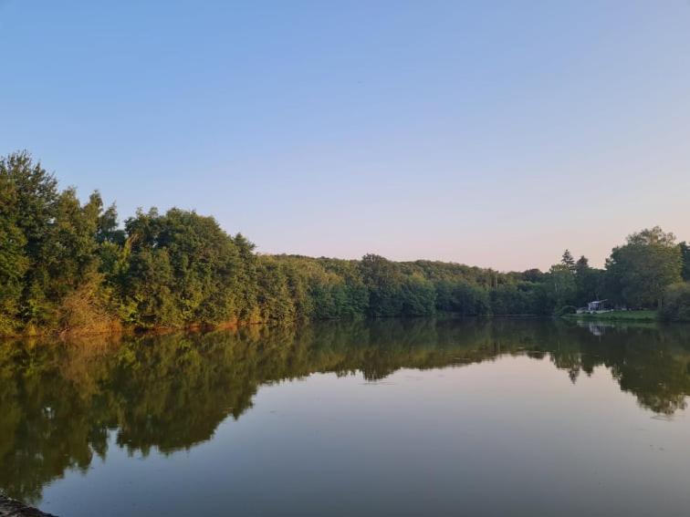 Chalet Olivier Flere-la-Riviere المظهر الخارجي الصورة
